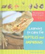Learning to care for reptiles and amphibians