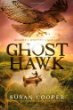 Ghost Hawk