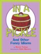 In a pickle, and other funny idioms