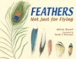 Feathers : not just for flying