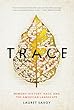 Trace : memory, history, race, and the American landscape