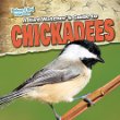 A bird watcher's guide to chickadees