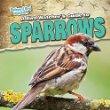 A bird watcher's guide to sparrows