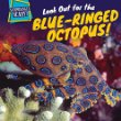 Look out for the blue-ringed octopus!