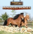 Miniature horses