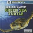 Saving the endangered green sea turtle