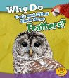 Why do owls and other birds have feathers?