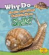 Why do snails and other animals have shells?