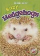 Baby hedgehogs