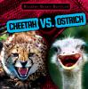 Cheetah vs. ostrich