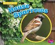 House sparrows