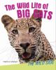 The wild life of big cats