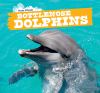 Bottlenose dolphins