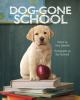 Dog-gone school