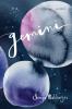 Gemini : a novel