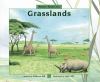 About habitats. Grasslands /