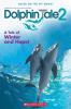 Dolphin tale 2 : a tale of Winter and Hope