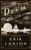 The Devil in the white city : murder, magic, and madness at the fair that changed America