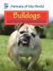 Bulldogs and other nonsporting dogs