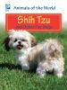 Shi tzu and other toy dogs