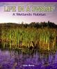 Life in a swamp : a wetlands habitat