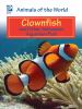 Clownfish and other saltwater aquarium fish