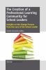 The creation of a professional learning community for school leaders : insights on the change process from the lens of the school leader