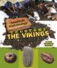 American archaeology uncovers the Vikings