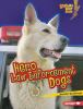 Hero law enforcement dogs