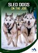 Sled dogs on the job