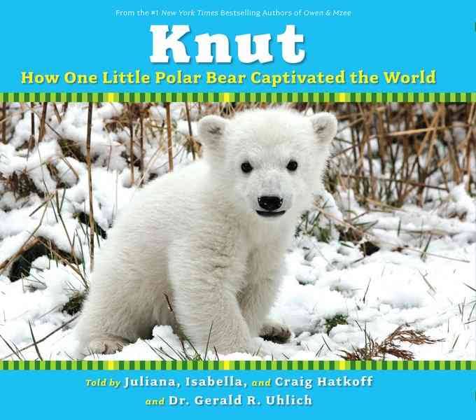 Knut : how one little polar bear captivated the world
