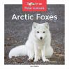 Arctic foxes