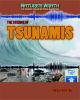 The science of tsunamis