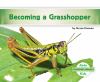 Becoming a grasshopper