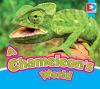 A chameleon's world