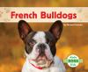 French bulldogs