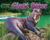 Giant otter