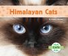 Himalayan cats