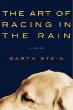 The art of racing in the rain : a novel