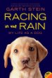 Racing In The Rain (YA) : my life as a dog