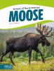 Moose