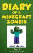 Diary of a Minecraft zombie, book 8