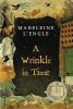 A Wrinkle in time