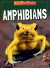 Amphibians
