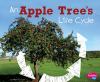 An apple tree's life cycle