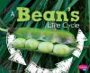 A bean's life cycle