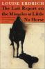 The last report on the miracles at Little No Horse