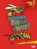 Can You Tell A Bee From A Wasp?