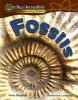 Fossils