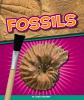 Fossils